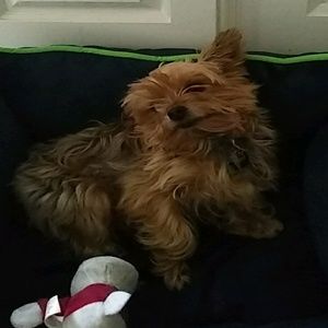 Meet your Posher, Drew