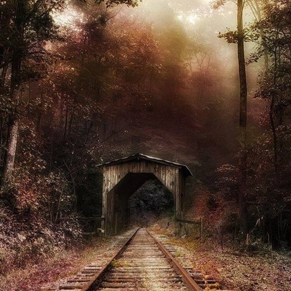 Meet your Posher, Pam - Picture 1 of 1