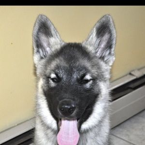 Meet your Posher, Judith