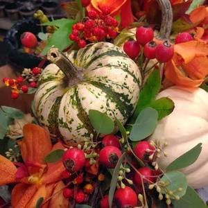 Meet your Posher, Diane