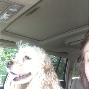 Meet your Posher, Lois