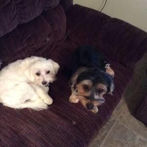 Meet your Posher, Vickie