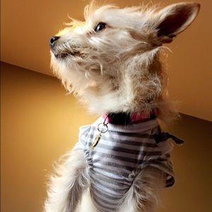 Meet your Posher, Chloe