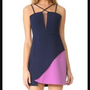 BCBG Colorblock Mini Dress