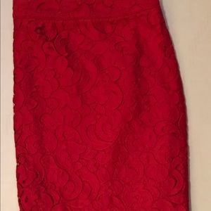 Lace Holiday Skirt