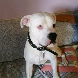 Meet your Posher, Melanie