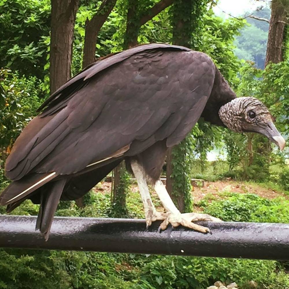 Meet your Posher, Stacy