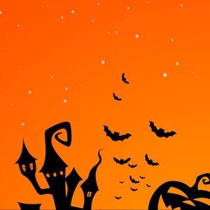 Meet your Posher, Nelda