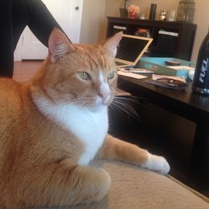 Meet your Posher, Kevin