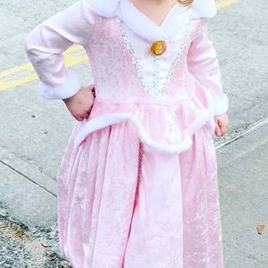 Disney Sleeping Beauty dress