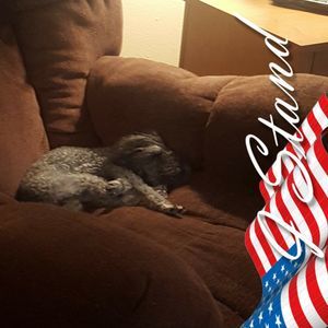 Meet your Posher, Lynne