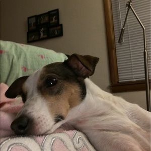 Meet your Posher, Debra