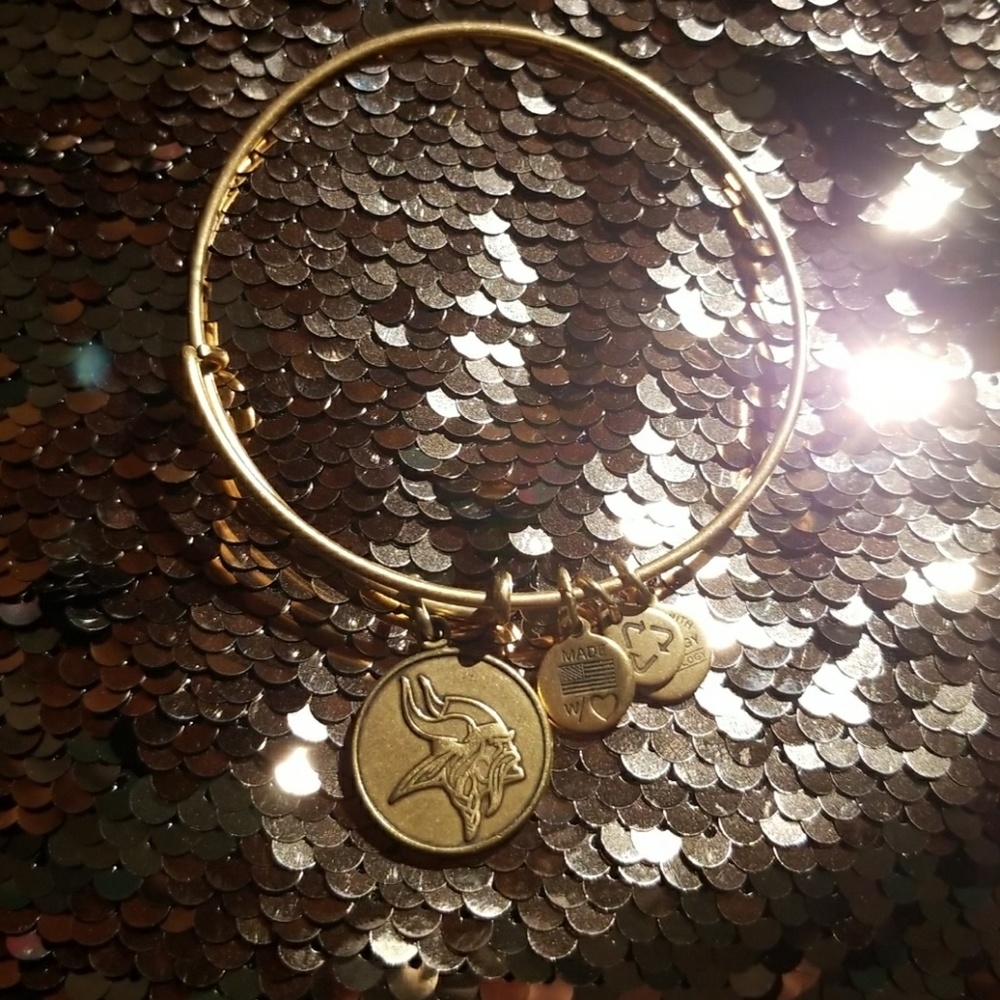 Alex and Ani: Vikings