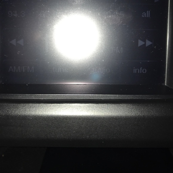 Meet your Posher, Joey - Picture 1 of 1