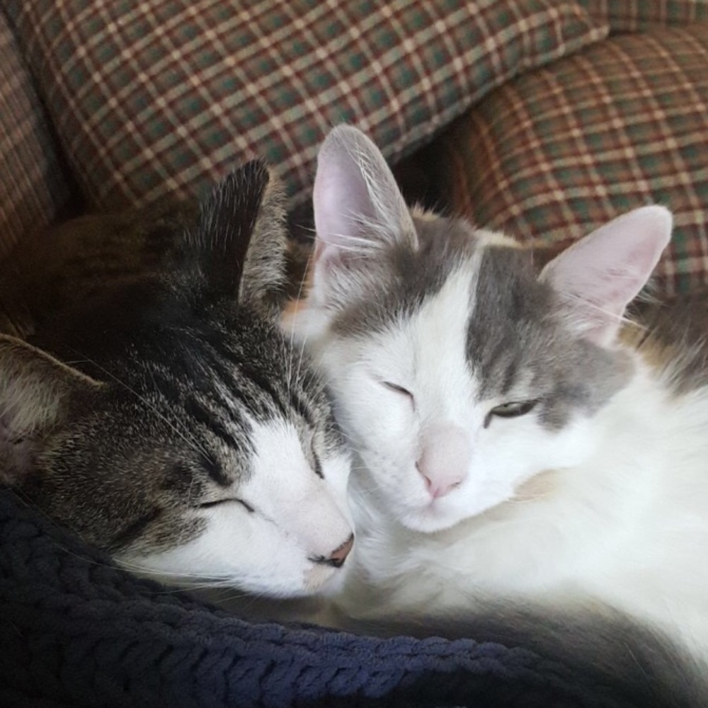 Meet your Posher, Alexandra