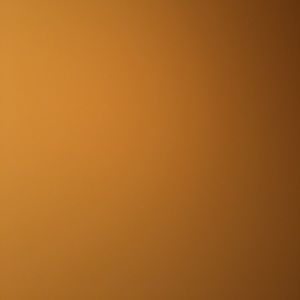 Meet your Posher, Yareli