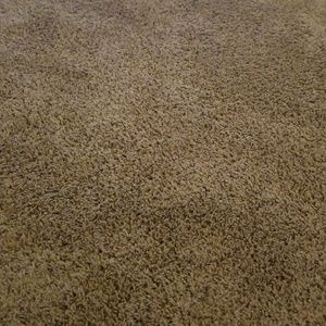 Meet your Posher, Shelia