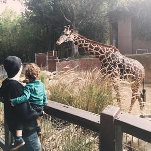 Meet your Posher, Veeken