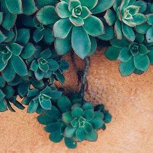 Meet your Posher, Leila