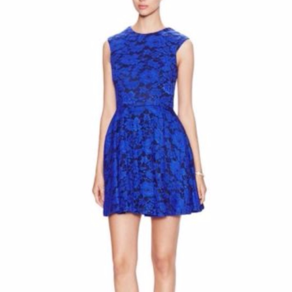 Cynthia Rowley Modele lace fit and flare dress