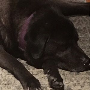 Meet your Posher, Laura