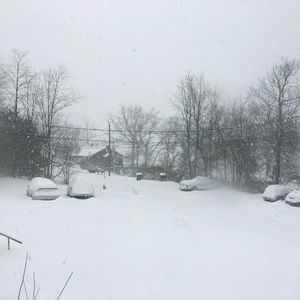 Meet your Posher, Ron