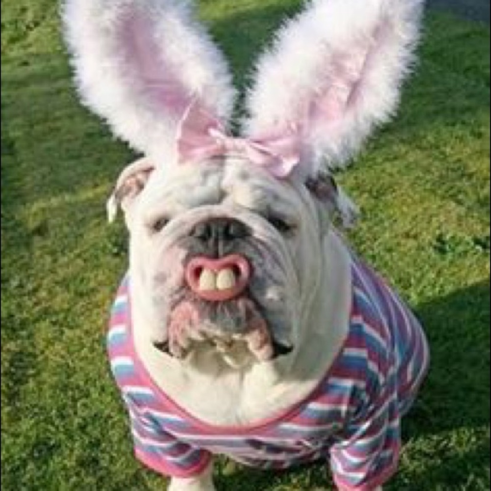 Meet your Posher, Julia