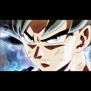 Meet your Posher, Oscar