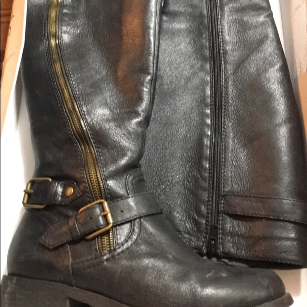 Steve Madden Wide Cafe Boot