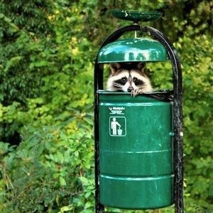 Meet your Posher, Bella