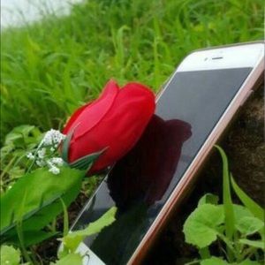 Meet your Posher, Ahmed