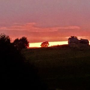 Meet your Posher, Hillary