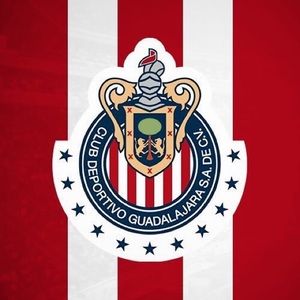 Meet your Posher, Omar