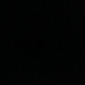 Meet your Posher, Owen