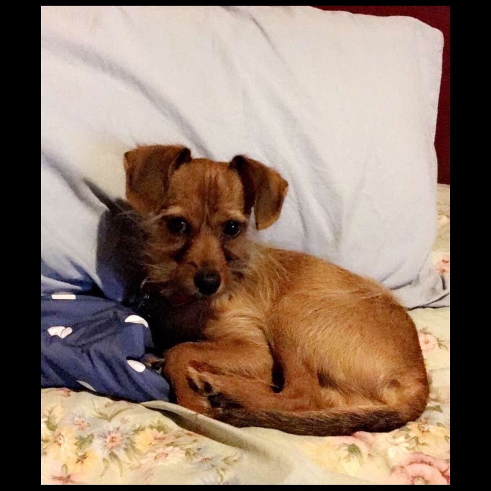 Meet your Posher, Lupita