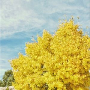 Meet your Posher, Georgia