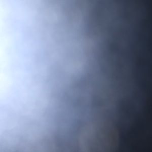 Meet your Posher, Daniela