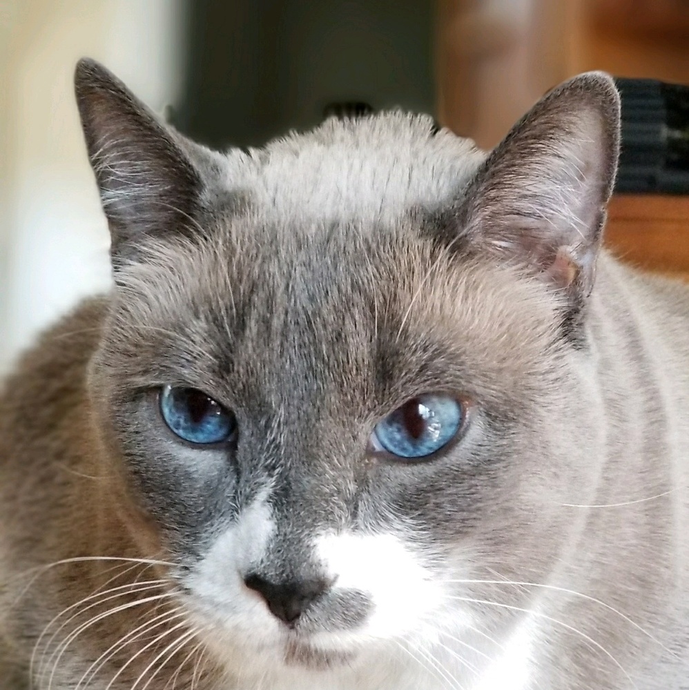 Meet your Posher, Brian