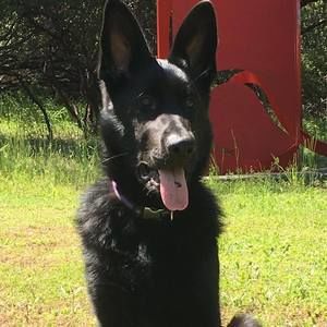 Meet your Posher, Elisabeth