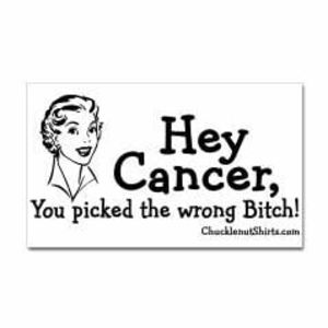 Meet your Posher, Donna