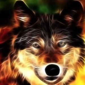 Meet your Posher, Kaden