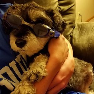 Meet your Posher, Dara