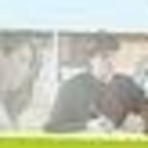 Meet your Posher, Sylvan