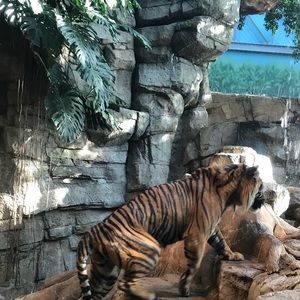 Meet your Posher, Marco