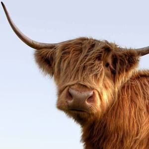 Meet your Posher, Janet