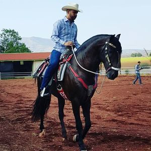 Meet your Posher, Eden