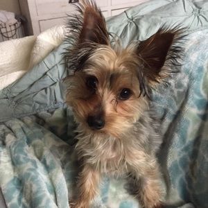 Meet your Posher, Brooke