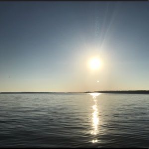 Meet your Posher, Delany