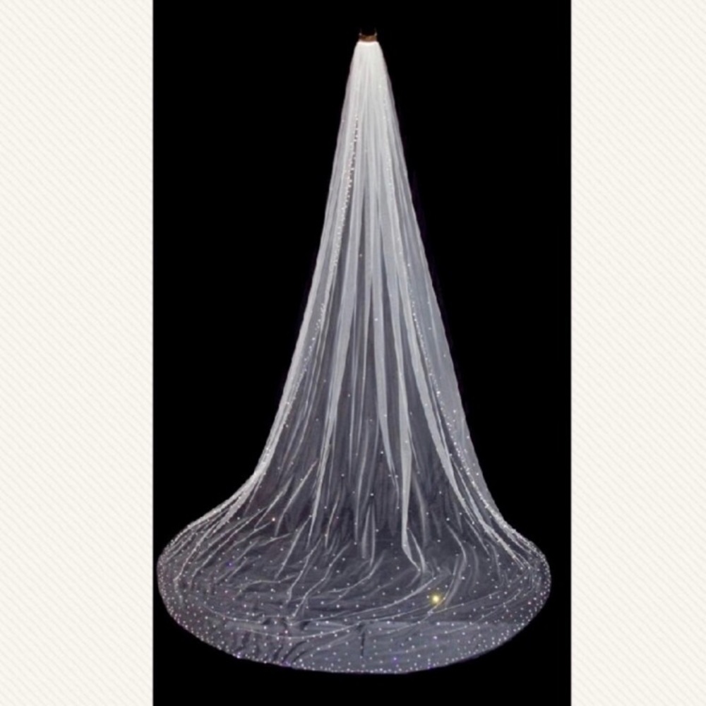 Ivory Cathedral Length Veil with crystal details