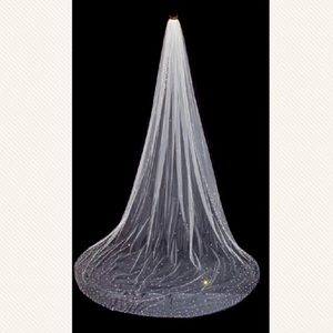 Ivory Cathedral Length Veil with crystal details